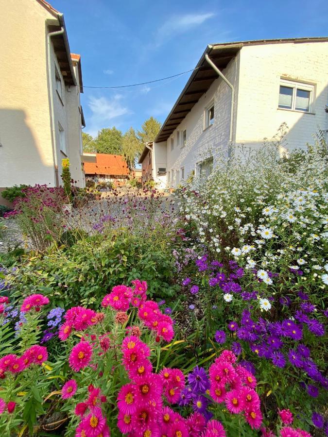 Ferienwohnung Riese Nordhessen Felsberg Exterior foto